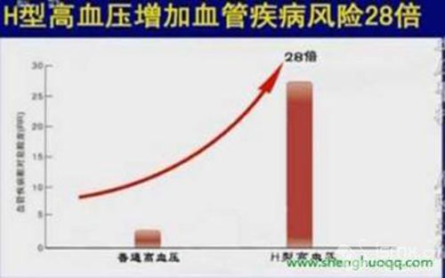 你是“H型高血压”患者吗?