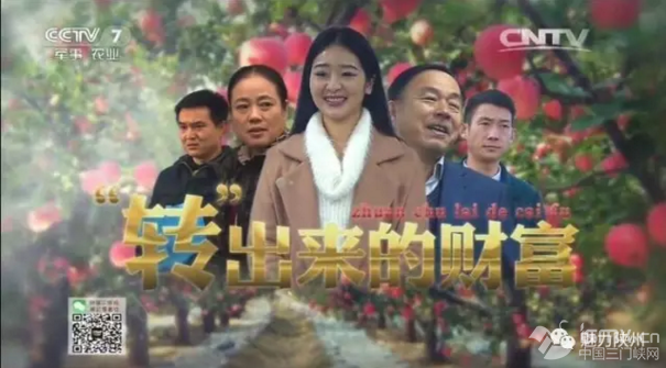 【视频】央视《“转”出来的财富》讲述三门峡农民创业故事