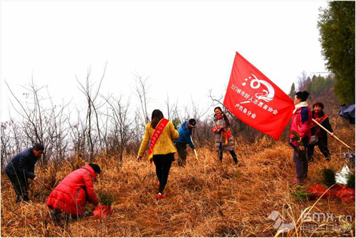 卢氏县卫计委“关爱自然”志愿服务在行动——卢氏县卫计委组织开展“3.12”植树节活动