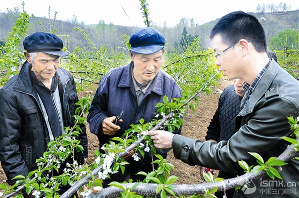技术指导到田间