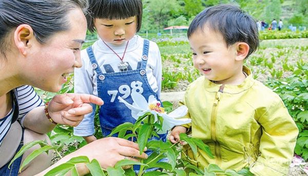 成立合作社 带动农民致富