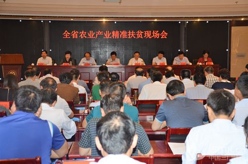 全省农业产业精准扶贫现场会在卢氏县召开