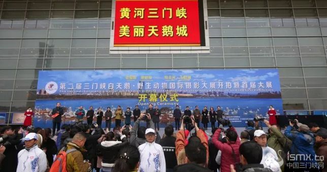 聚焦魅力天鹅之城 共享光影艺术盛宴