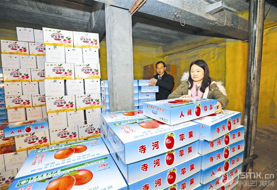 灵宝:成立专业合作社 社员收入明显增加