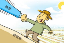“小小鞋面”蹚出致富路