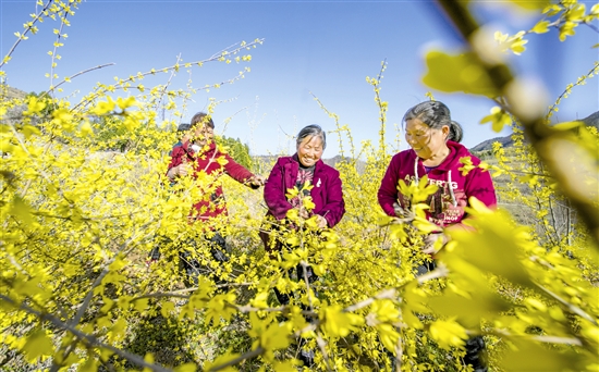 ���T�{�R�ϣ�С�B�N���N�����¸���a�I