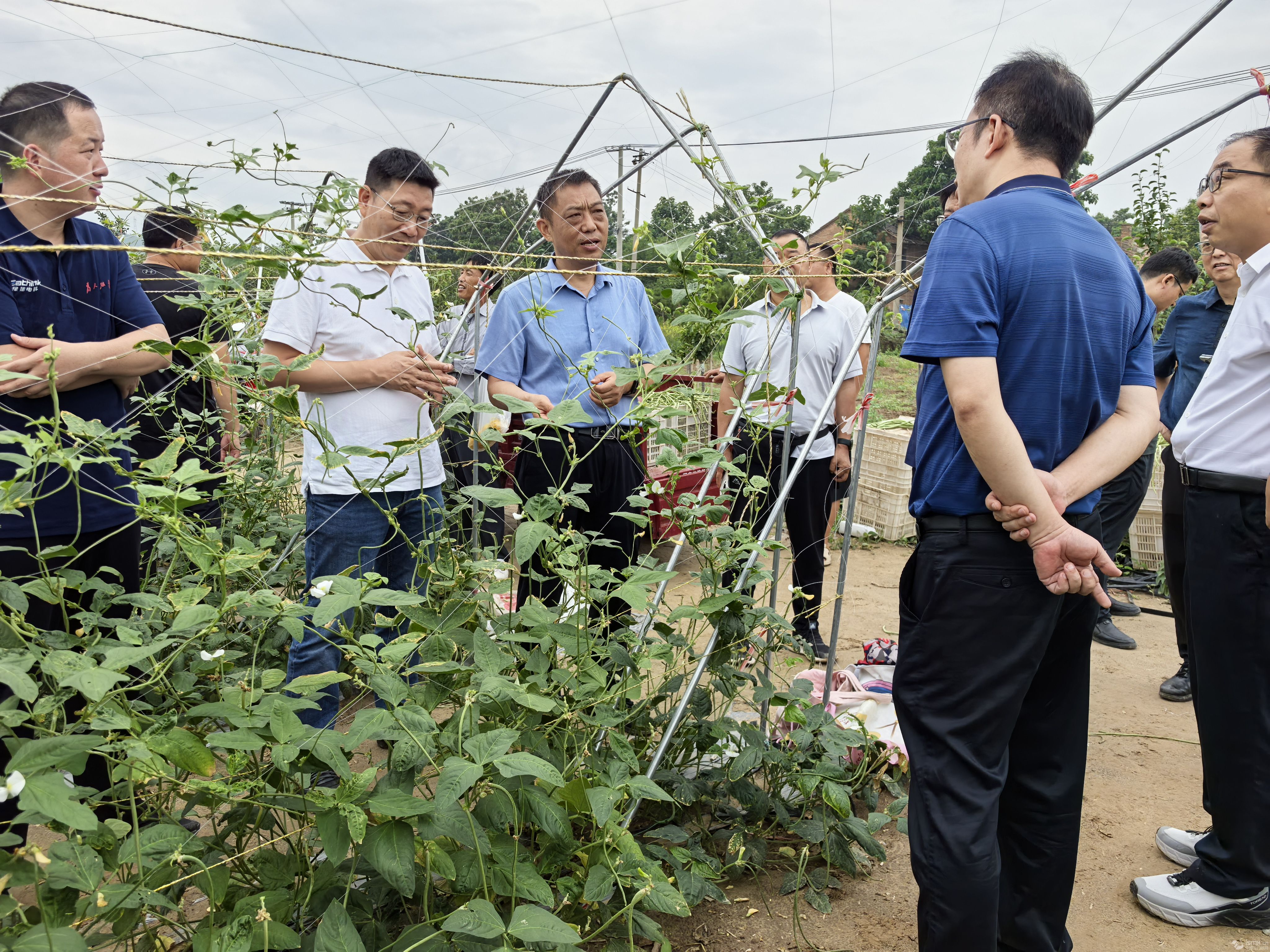 灵宝市西阎乡：专家把脉乡村产业”
