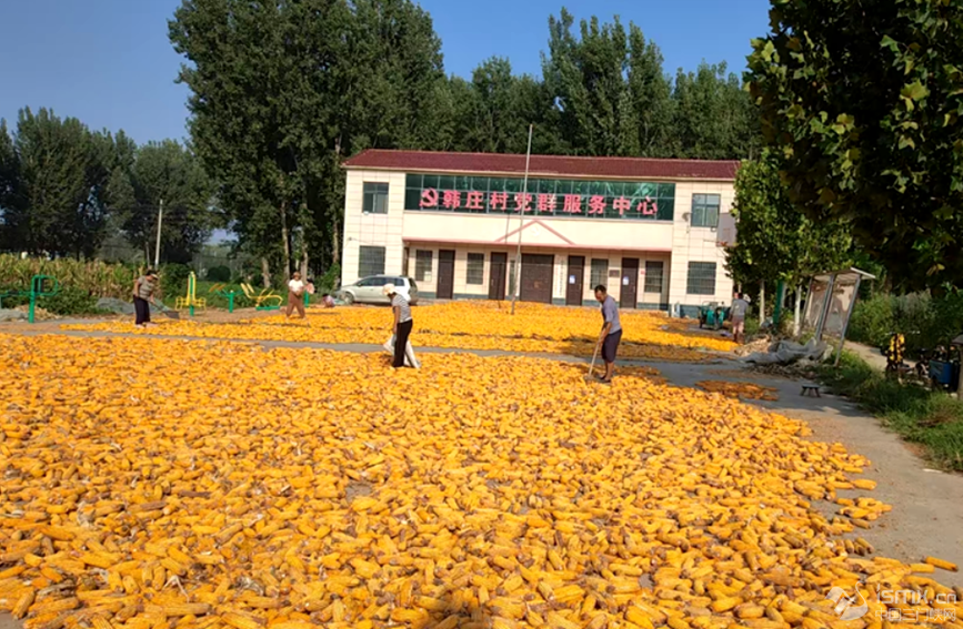 з纫ׯȺĻ㳡ɹ޷