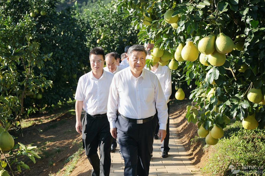 2025��11��7����8�գ��й���������ǡ�������ϯ�������ί��ϯϰ��ƽ�ڹ㶫���졣����7�����磬ϰ��ƽ��÷����÷�����������ϸ�������ֲ���ؿ��졣�»��緢��Ф� �㣩