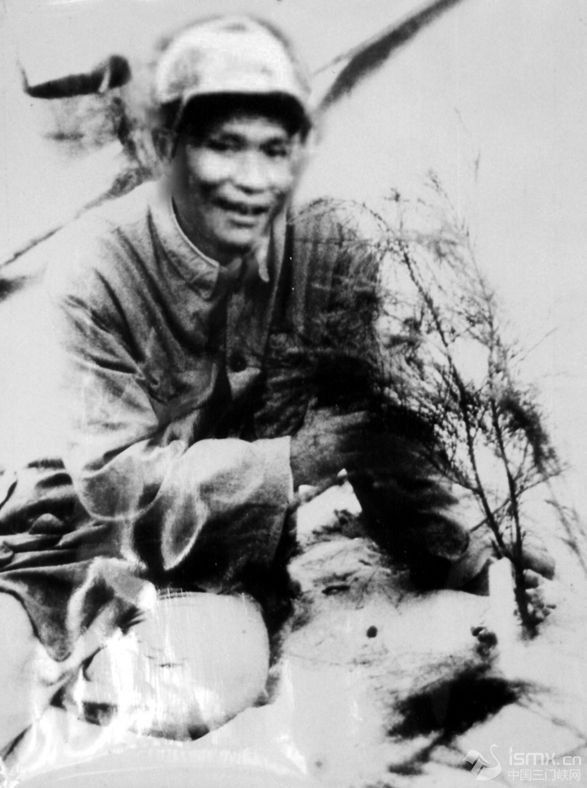 谷文昌与试种成活的木麻黄(资料照片)。