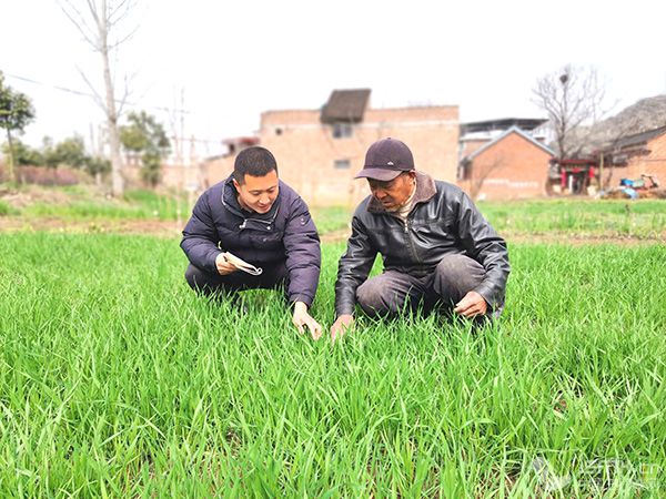 ¬�ϣ���������ͷ�������������ؼ��ڡ�