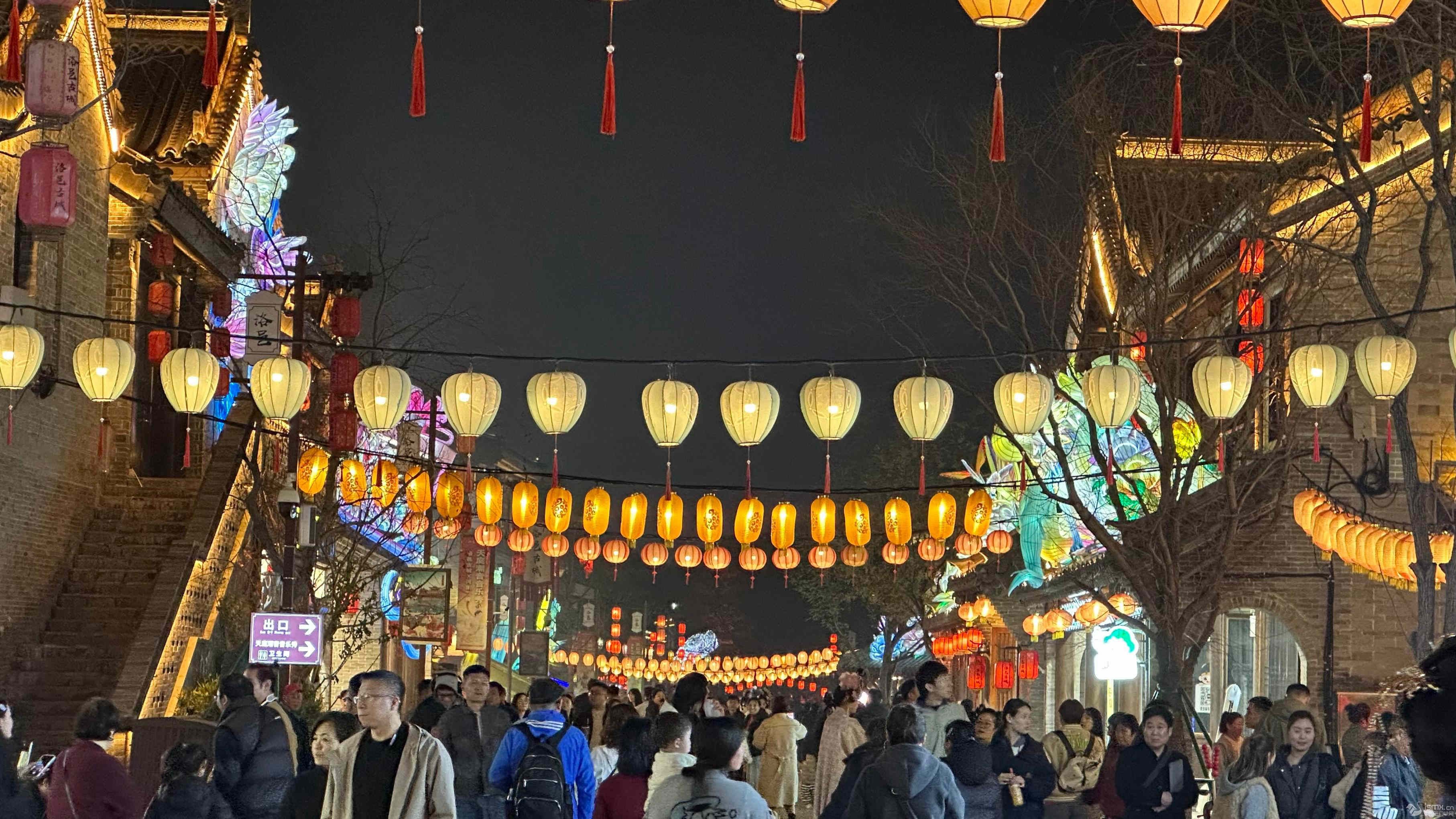 ���عų��������������������� ��������